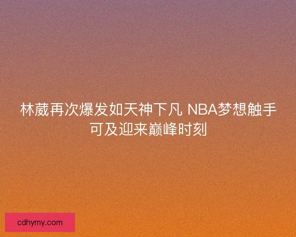 林葳再次爆发如天神下凡 NBA梦想触手可及迎来巅峰时刻