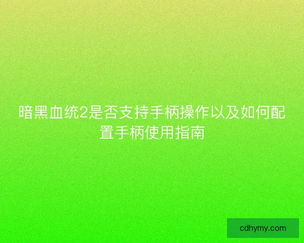 暗黑血统2是否支持手柄操作以及如何配置手柄使用指南